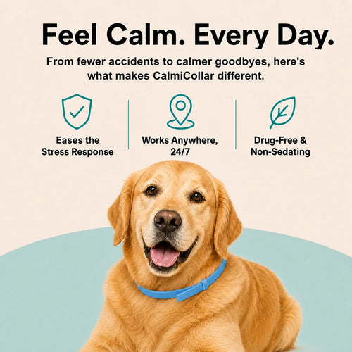Drug-Free Calming Support for Anxiety, Barking & Stress